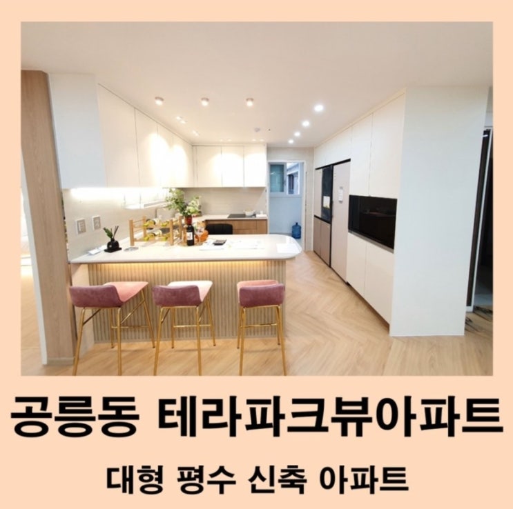  노원구 공릉동 공릉역세권 테라파크뷰 아파트 매매(전세)