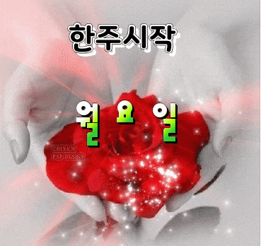 맛있는 빵집을 못 찾아 베이킹을 배우고 싶은 여성 맛있는 빵집을 못 찾아 베이킹을 배우고 싶은 여성