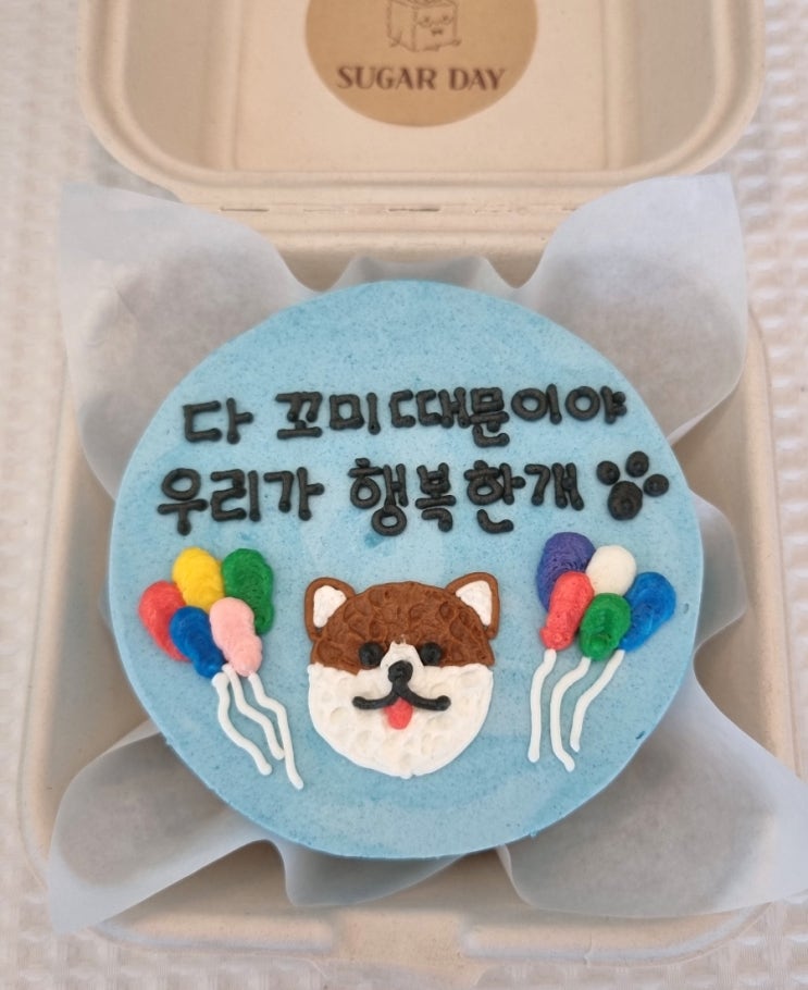  순천레터링케이크 '슈가데이' 에서 꼬미와의 추억남기기