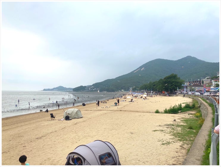  윈윈 탐정 서비스 이용 후기
