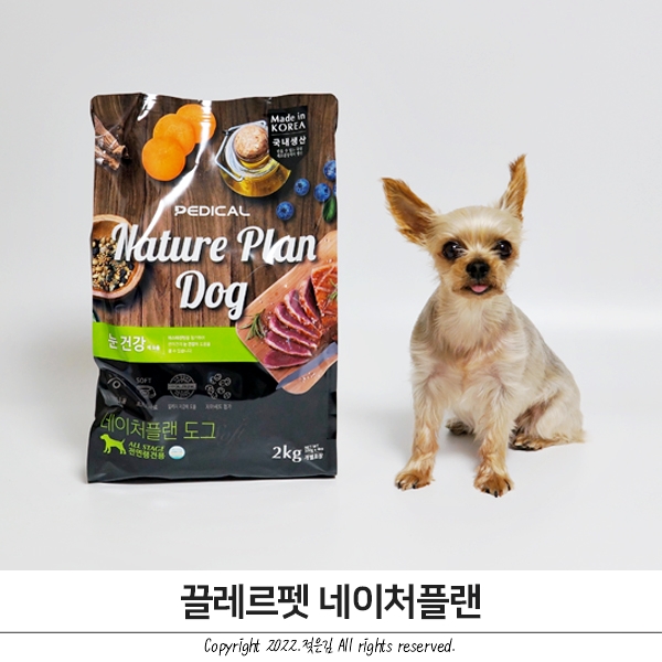 끌레르펫 네이처플랜 빵이가 잘먹는 기호성높은사료 끌레르펫 네이처플랜 빵이가 잘먹는 기호성높은사료