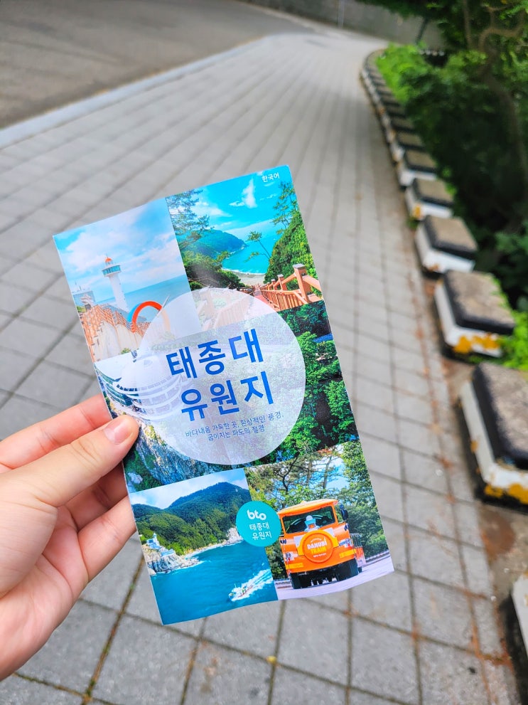  부산 여행/ 부산 영도 가볼 만한 곳 태종대유원지::
