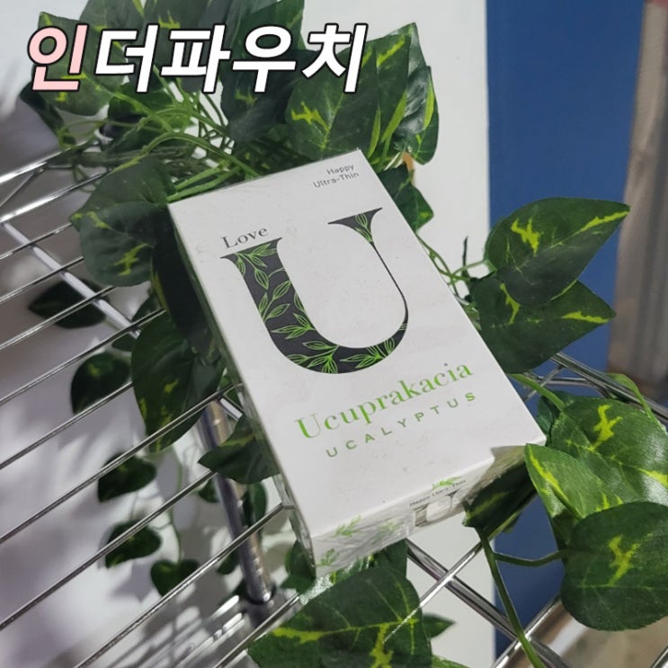  입문용 콘돔으로 추천하는 유추프라카치아 초박형