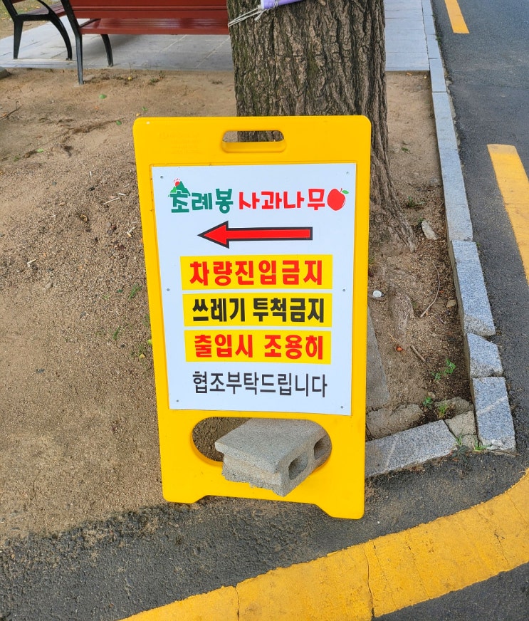  대구 동구/ 혁신도시 근처 캠핑식당 초례봉 사과나무::