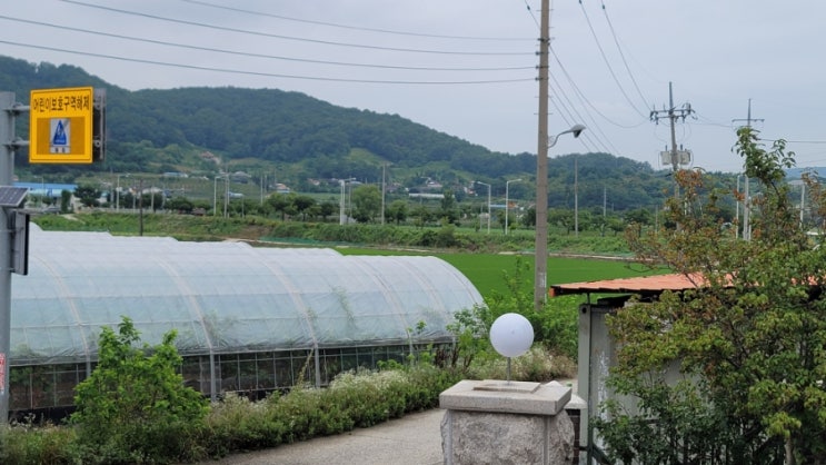  무기력증