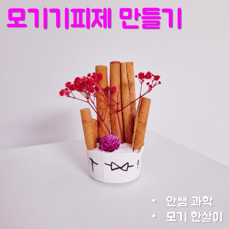 안쌤 과학 모기 한살이와 모기기피제 만들기
