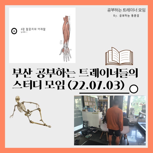  트레이너들의 공부 : 팔꿈치 관절과 표면전방선(2022.07.03)