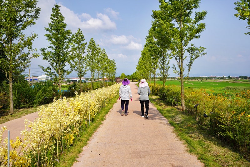 사진 2