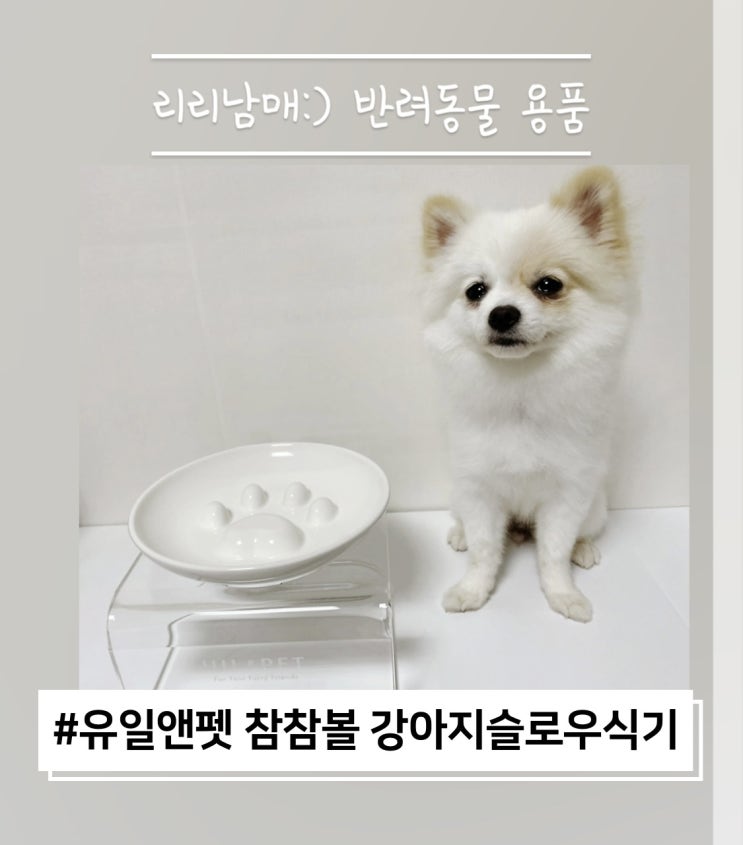 유일앤펫 참참볼 강아지슬로우식기 : 강아지밥그릇
