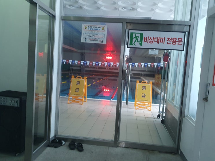  [자유수영] 종로문화체육센터 수영장 이용후기