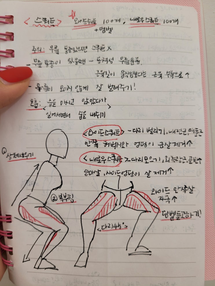  와이드스쿼트, 내로우스쿼트 자세 및 운동방법