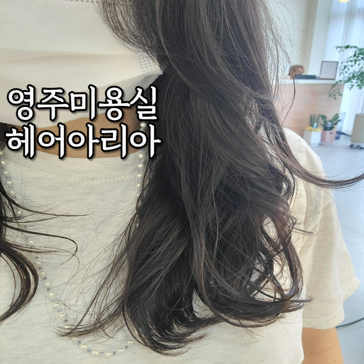  영주 택지 미용실 헤어아리아 컷트+S컬+앞머리 받고옴