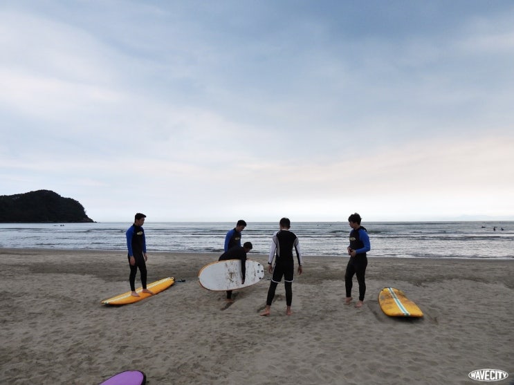 부산 다대포 서핑 : 최초 서핑스쿨  '웨이브시티'에서 첫 서핑 도전