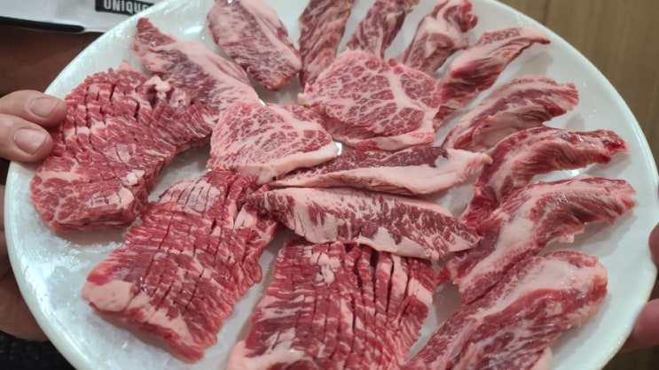  거제 고현 식육식당 한우전문점 맛집[화지]