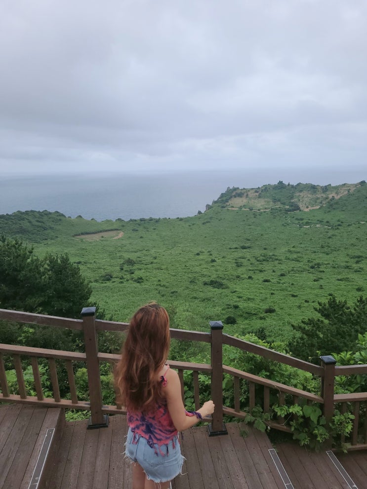  성산일출봉 올라보니 왜 올라야할지 알것같았던 날 ( 무료입장 꿀팁 + 사람없는 시간대 )