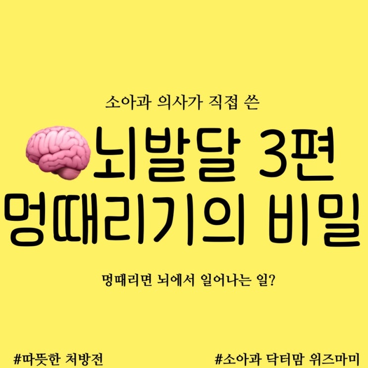  우리아이 뇌발달 시리즈 3편: 아무것도 하지 않는 시간=멍때리기의 비밀입니다.