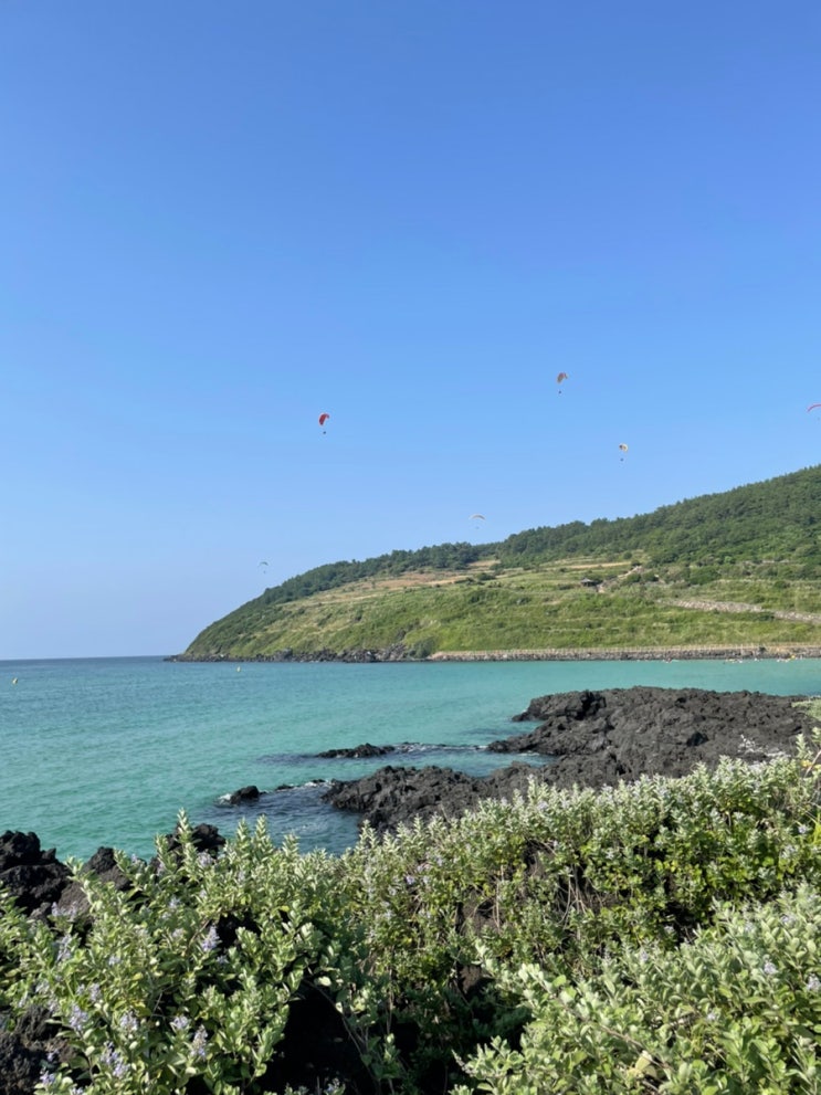  [제주도5박6일여행] 함덕해수욕장 주변 마농바게트 초강추 “오드랑베이커리” 간단하게 먹을 수 있는 “해녀김밥”