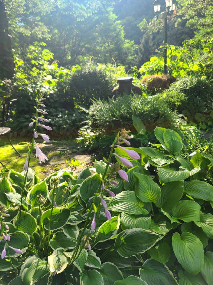  [경제 금융 용어 700선](251-260)본원통화,볼커룰,부가가치,부가가치기준무역,TIVA,부가가치유발계수,부동화,무권화,부실채권정리기금,부채담보부증권,CDO,부채비율,NAFTA