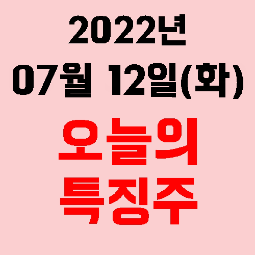  오늘의 시장 특징주 2022년 07월 12일(화)