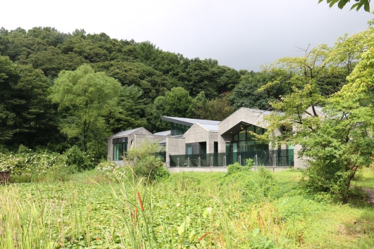  경기도 여주 여행 프라이빗 독채 수영장펜션 해여림빌리지 폰드A