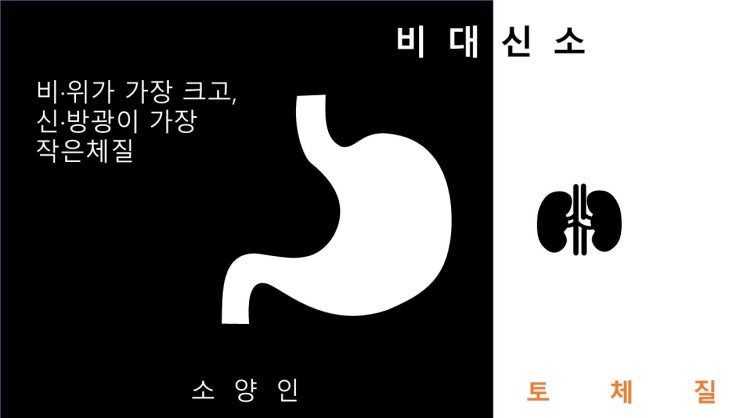  소양인의 체질건강식