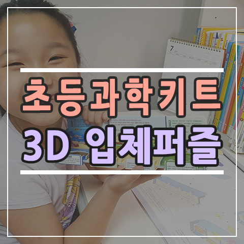  스콜라스 초등과학키트 3D 입체퍼즐 여름방학 대비 완성