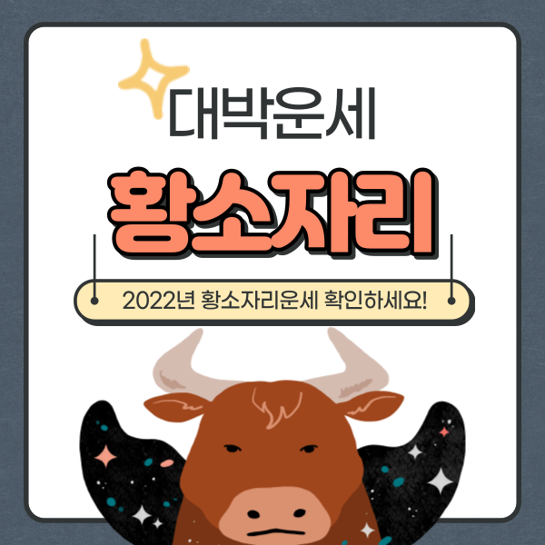  2022년 황소자리 운세 알아보기