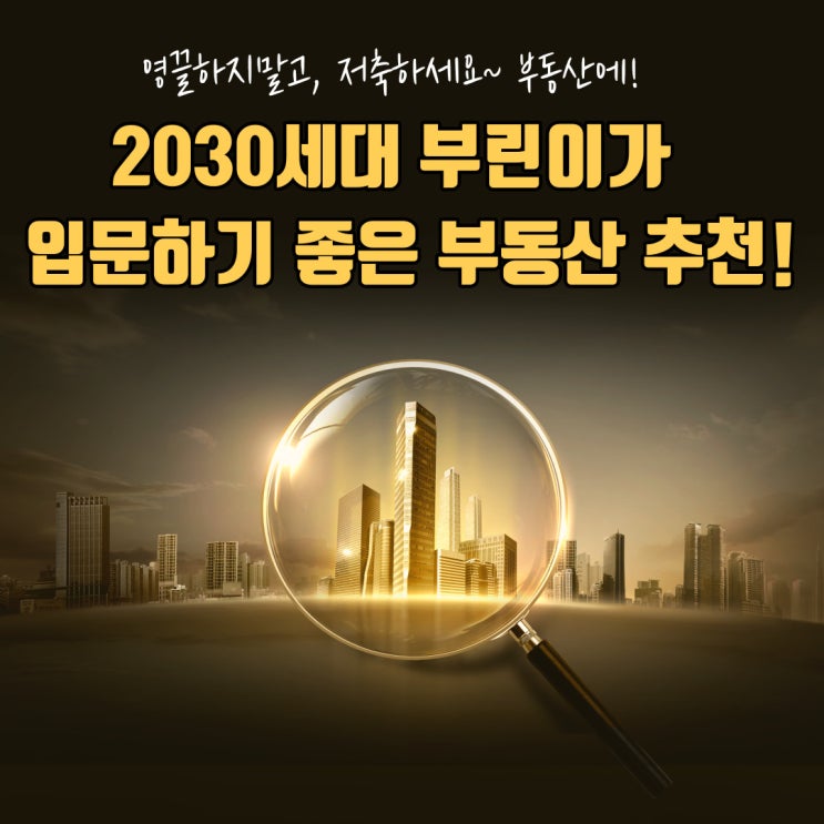  2030세대 부린이가 입문하기 좋은 부동산 수익형오피스텔 시화MTV 중앙하이츠마레