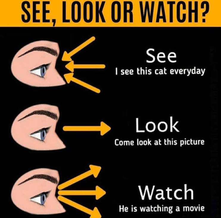  see,look,watch