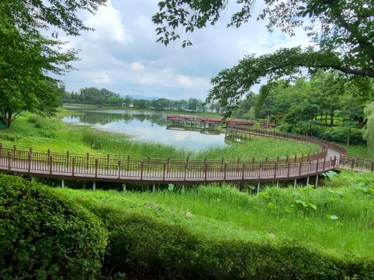 김제 가볼만한 곳, 김제 시민문화 체육공원(김제 시민문화 공원) 풍경(7월 11일)