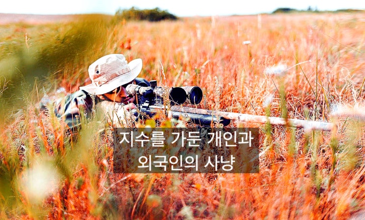  7월파생시장, 지수 등락 폭을 제한하는 개인과 외국인의 사냥
