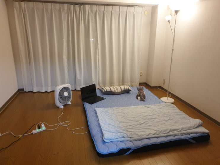  20220711 161번째당근