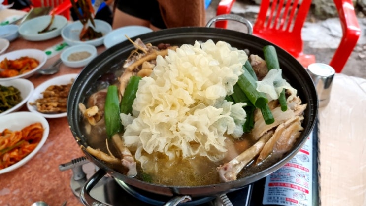 팔현계곡 맛집 토종닭 백숙은 다맛이 최고네요. 시원한 계곡물에 발도 담그고 힐링 장소로 굿입니다.