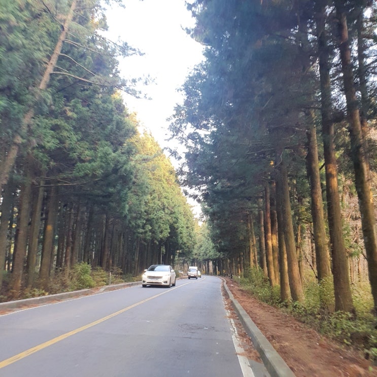  [블로그씨 질문] 나만의 무기력증 극복 방법