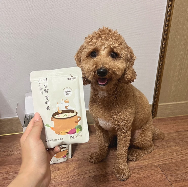  강아지간식/강아지 죽 추천 :: 도그퓨어 영양닭황태죽