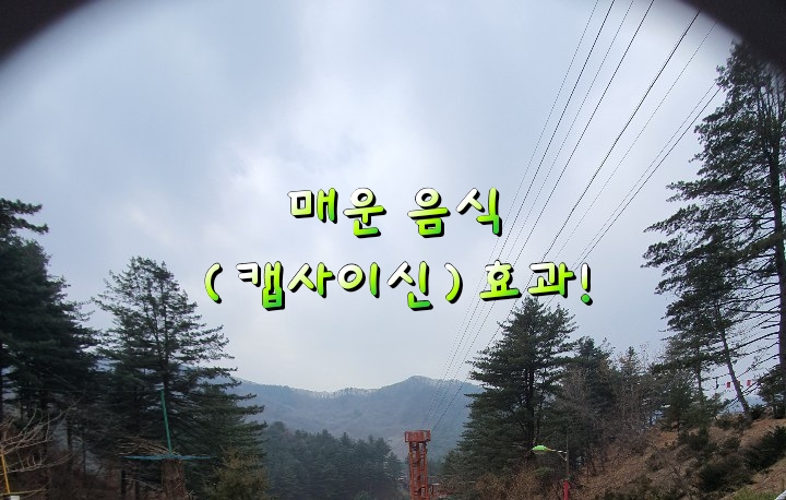 매운 음식 (캡사이신)효과!