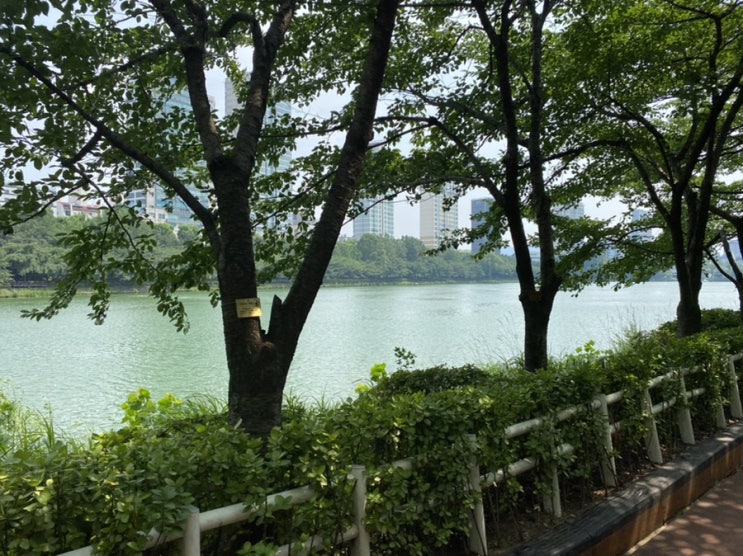  창원 가다실 9가 저렴한 곳