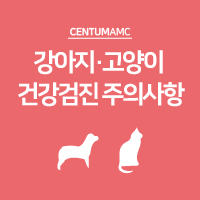  강아지 고양이 건강검진 전 주의사항