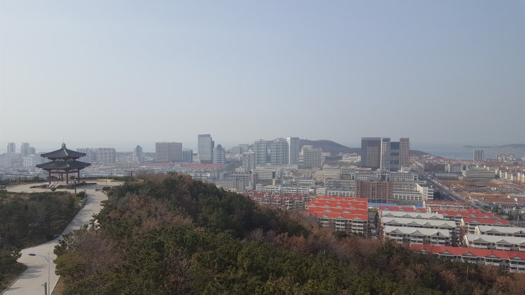 중국 산동성 위해시 여행 중 도심 풍경 직찍