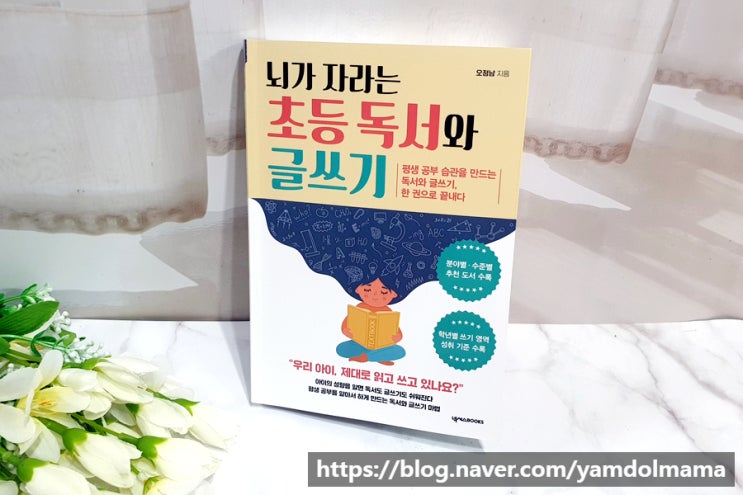  초등글쓰기,성향별독서 뇌가 자라는 초등 독서와 글쓰기 서평