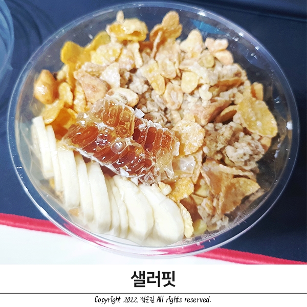천안 그릭요거트 맛집 샐러핏 내돈내산 천안 그릭요거트 맛집 샐러핏 내돈내산