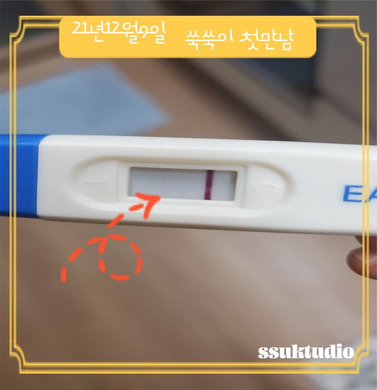  [쑥쑥이일기#4]21년 12월 반가워 쑥쑥아~