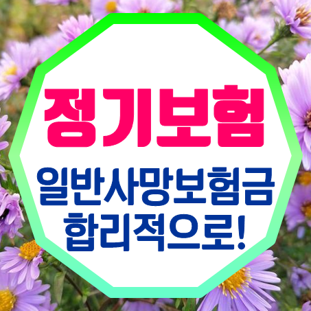 비갱신정기보험 추천 : 일반사망보험금을 합리적으로 가입할 수 있어요!