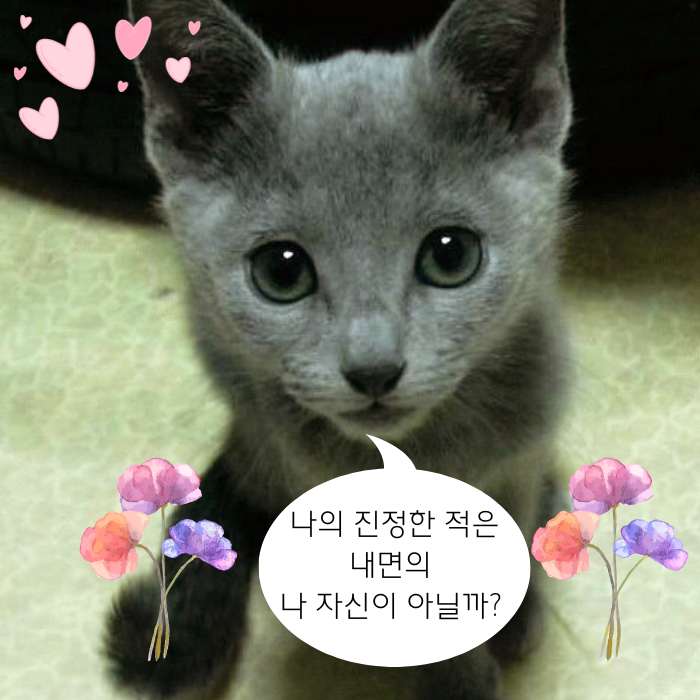  [명언. 시] 칼릴 지브란 명언, 릴케 시 "검은 고양이"