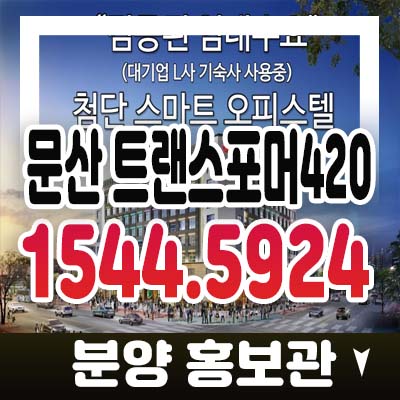 문산 뚱발 트랜스포머420 파주 문산읍 당동리 1억대 소액투자 분양가 모델하우스 관람 투자문의