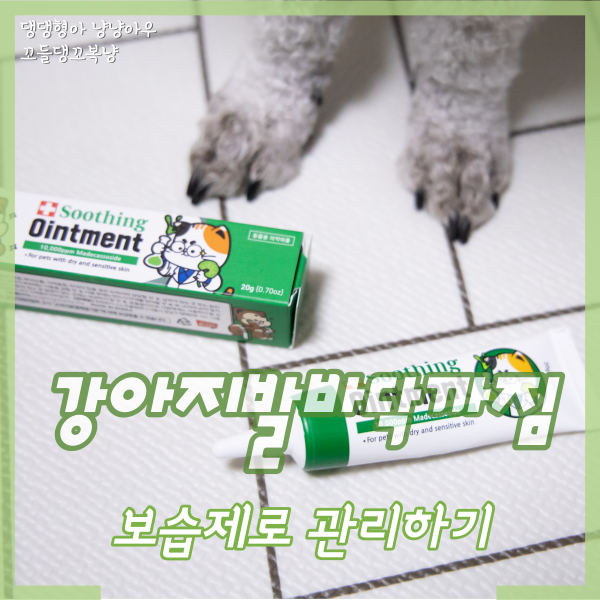  강아지 발바닥 까짐, 래핑찰리 수딩오인먼트 보습제 후기