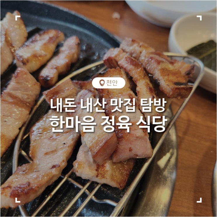 천안 동남구 숙성 생고기 맛집  한마음정육식당
