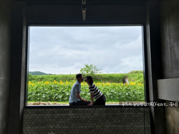  경주브런치카페/경주대형카페 ｜ 1200평의 해바라기와 브런치가 있는 경주 로드100