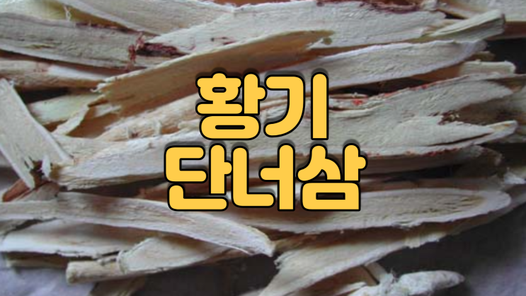  황기(黃耆)(단너삼)