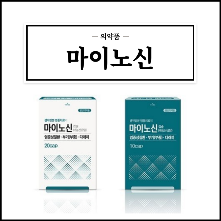  마이노신, 효능효과/복용법/부작용/주의사항 등 간단정리